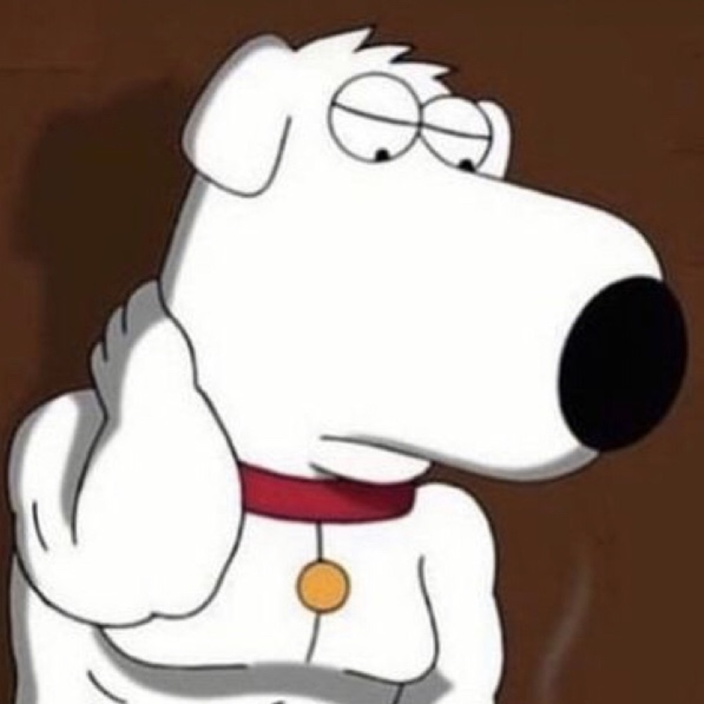 Meet your Posher, Luna